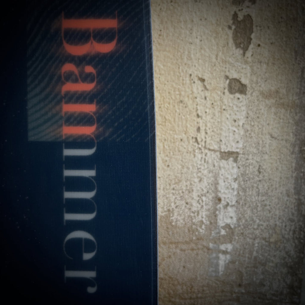 Quantum - Bammer Rehn (39.5" x 15.50")