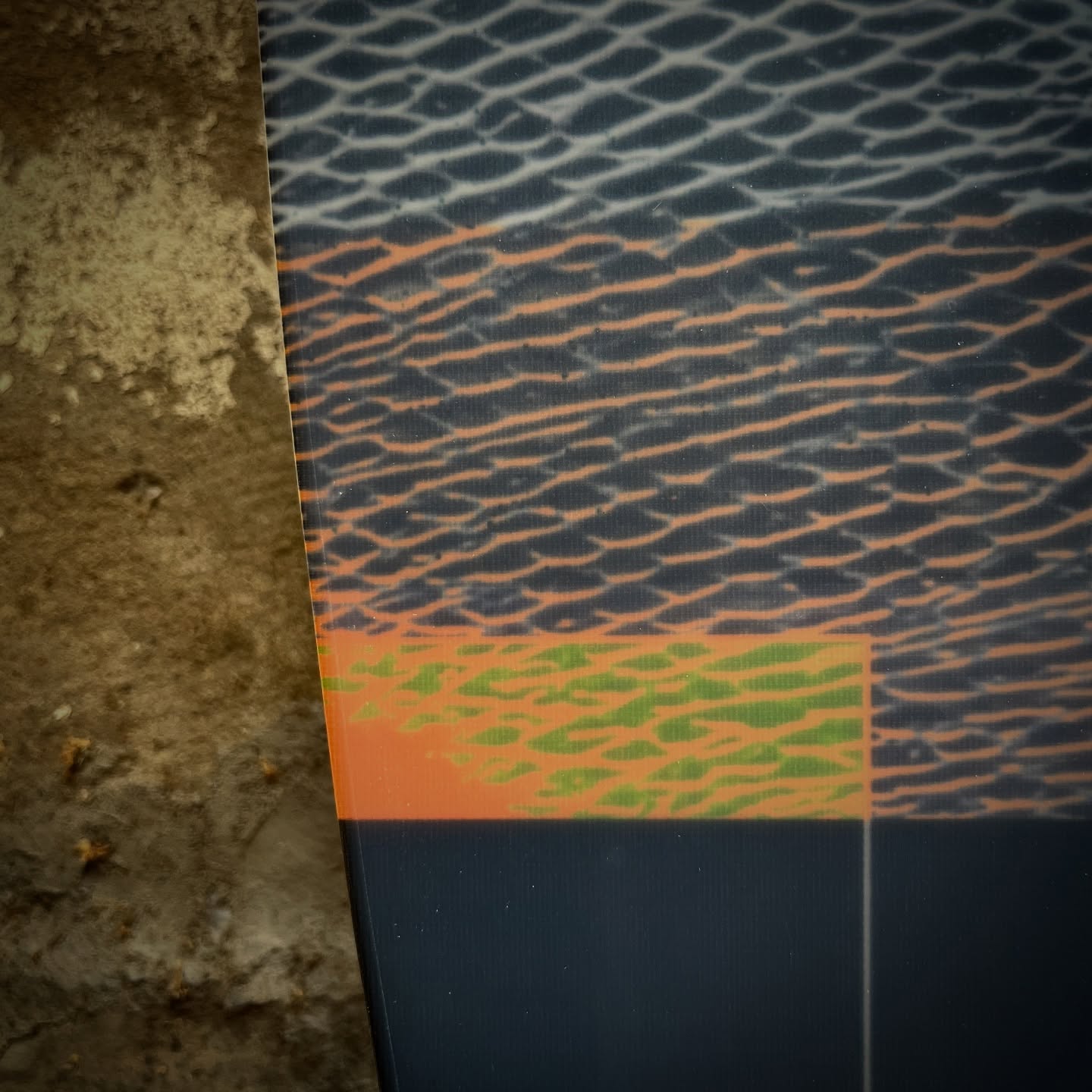 Quantum - Bammer Rehn (39.5" x 15.50")